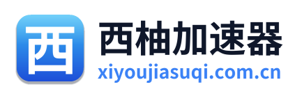 西柚加速器